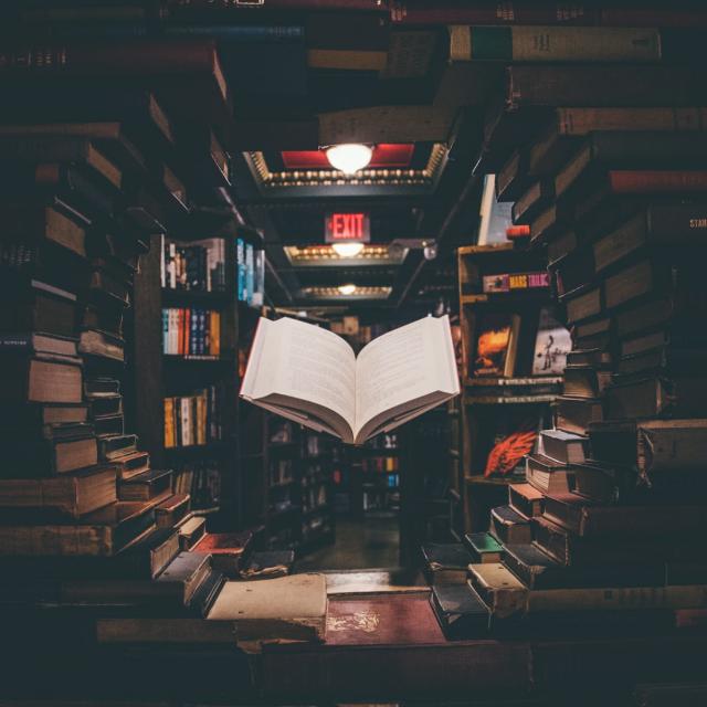 ? Knowledge and fun?