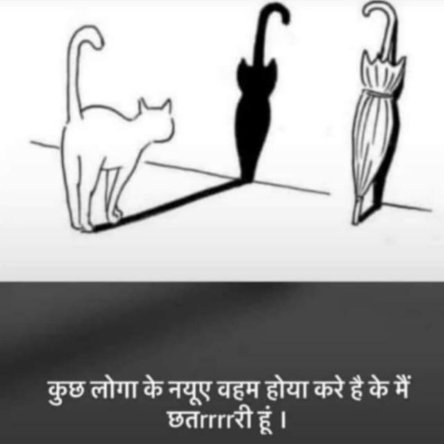 ?‍✈??स्वादू लंडूर??