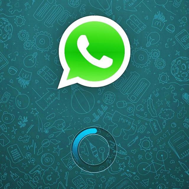 WHATSAPP JOB B12??