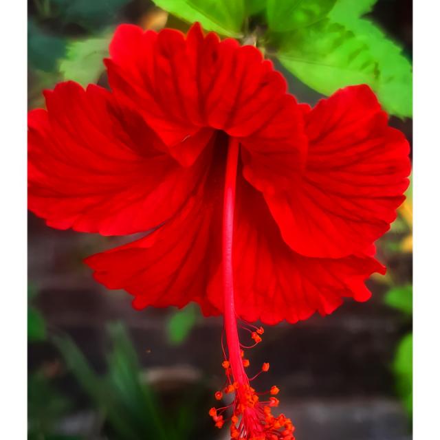 Diary of life Whatsapp group