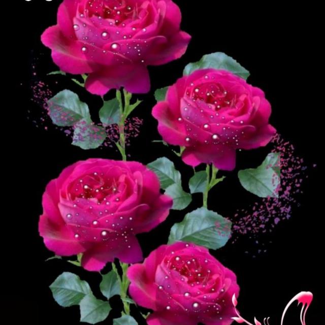 ??Only Nepal Lover??
