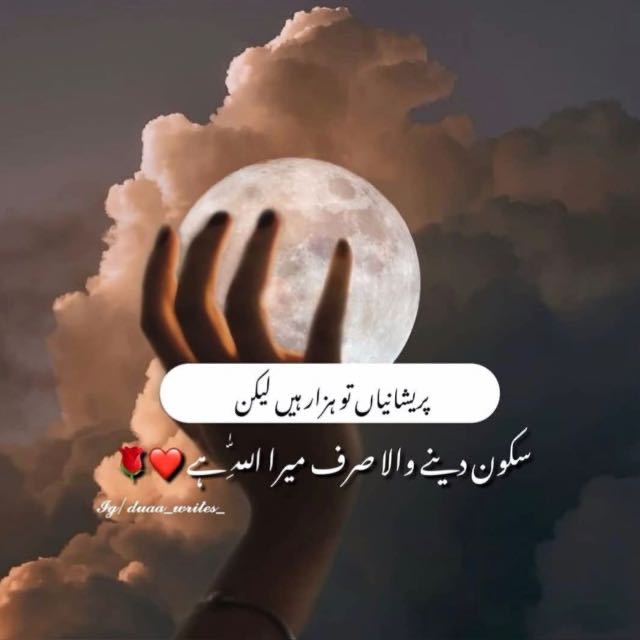 Ali Social Account Saller