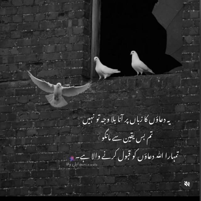 اہل زوق ?
