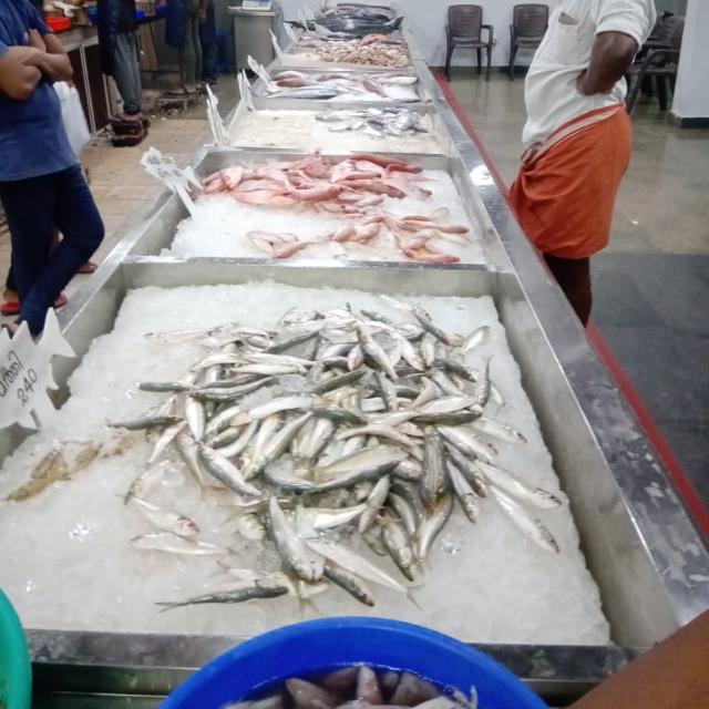 RSSJ Fish Market bommidi Whatsapp group