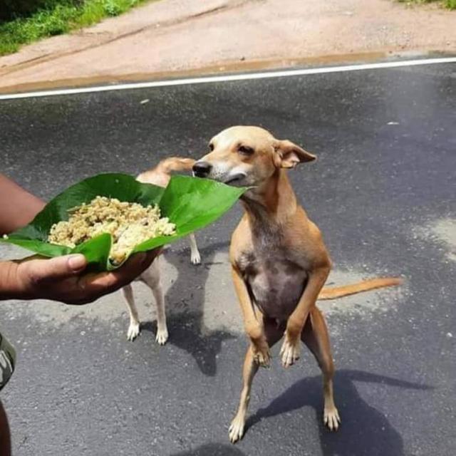 ❤☝?ලංකා??එකෙන්ම?