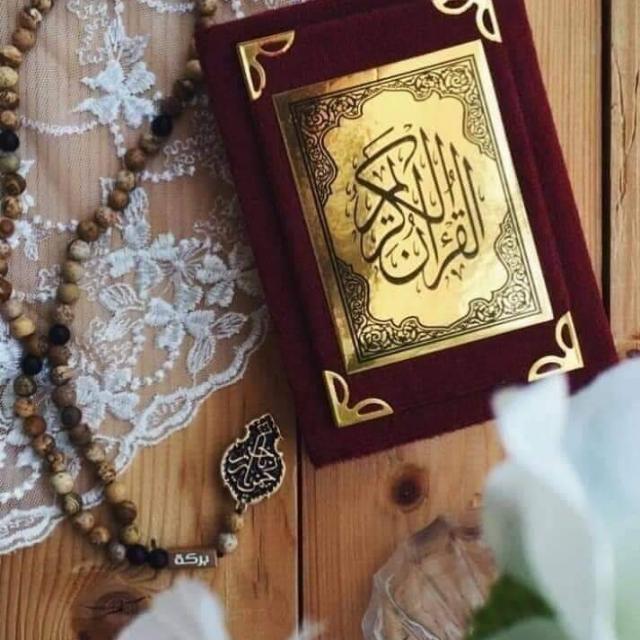 ?ہمارا پیارا?اسلام?*