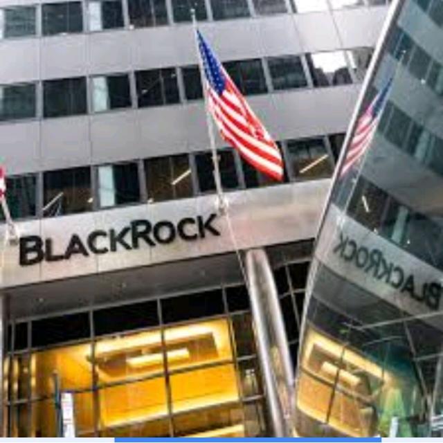 INDIA ????    BLACK ROCK INVESTMENT ??