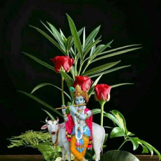 ??धार्मिक ग्रुप ??