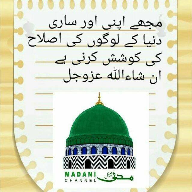 ?اصلاح?کی?کوشش?