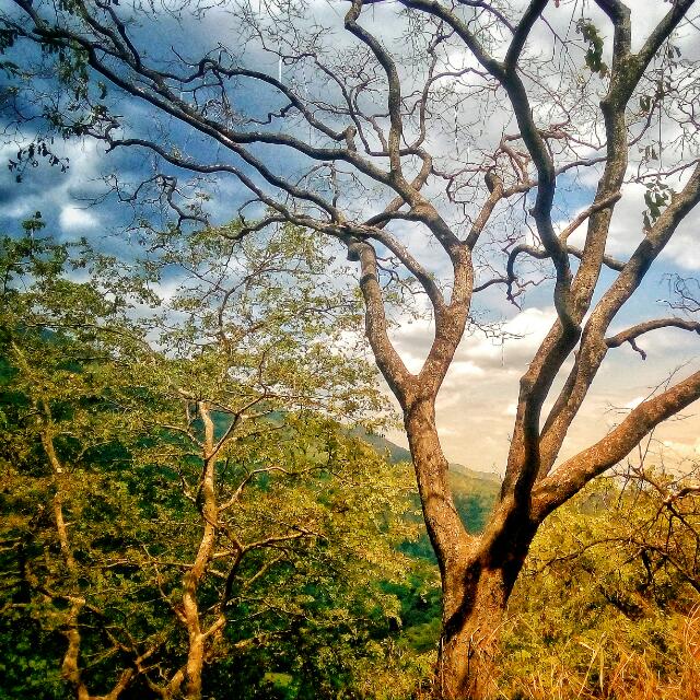 බදුල්ල දිස්ත්‍රික්කෙ සෙට්