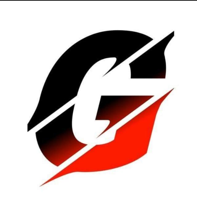 Telanganaga group
