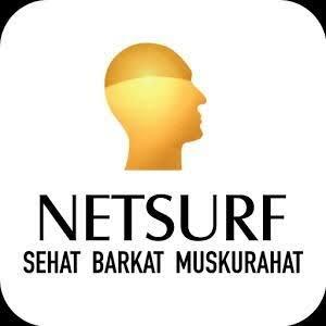 Netsurf group