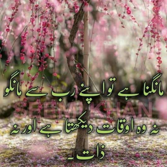 ?Love is Life?