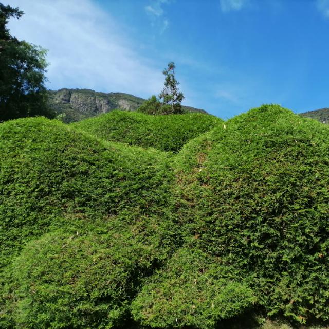 ?World?? Natural ? Places