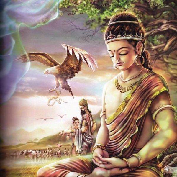 Sree bhudha