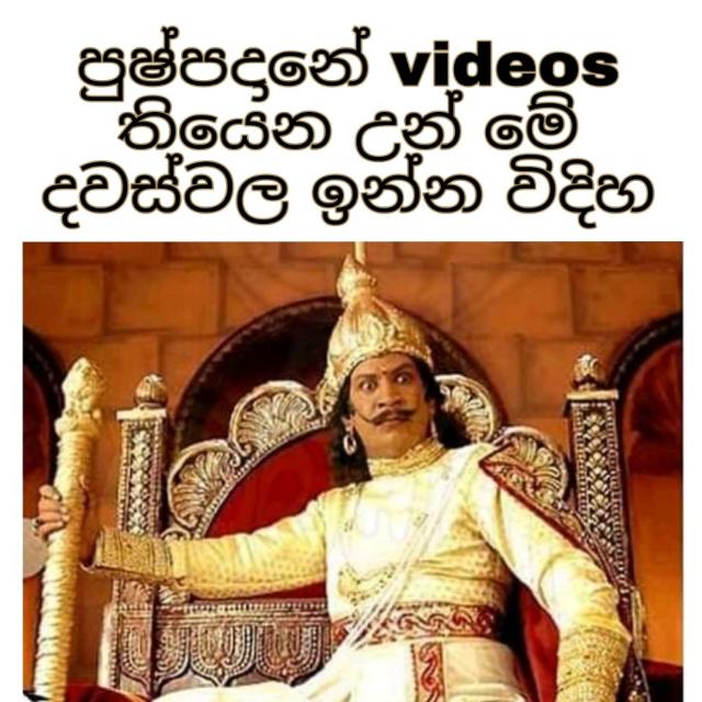 පුෂ්පදාන සැනකෙලිය