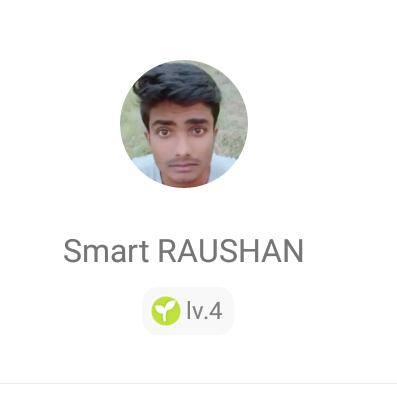 SupportVigo Smart Raushan