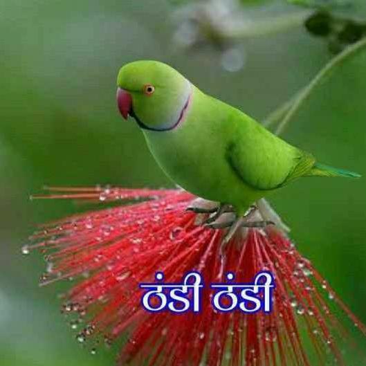 ❣️???lave ?‍❤️‍?‍??‍❤️‍?‍?
