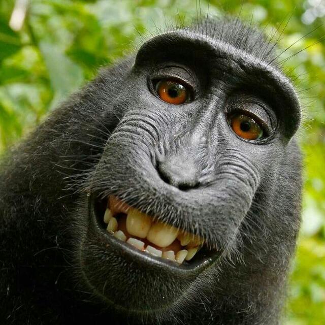 ?Ħ¥ĴΔĆҜ β¥ ᏦᏆΝᏀ ᎪᏙᏆᎽᎪ?