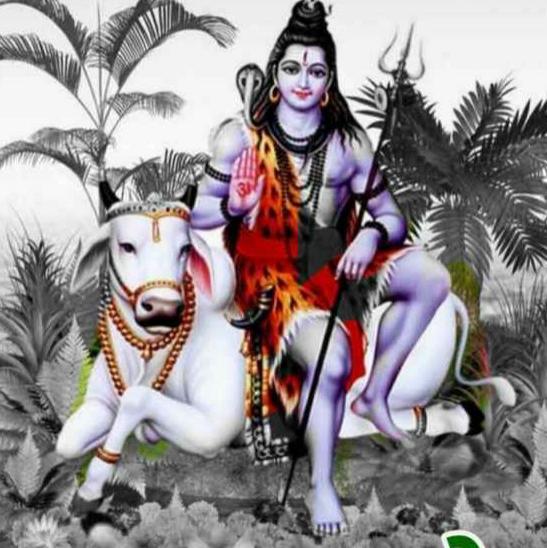 शिव चर्चा एवं भागवत कथा !