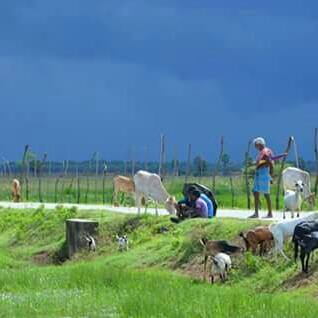 ?இலங்கை?தமிழ்?செய்திகள்?