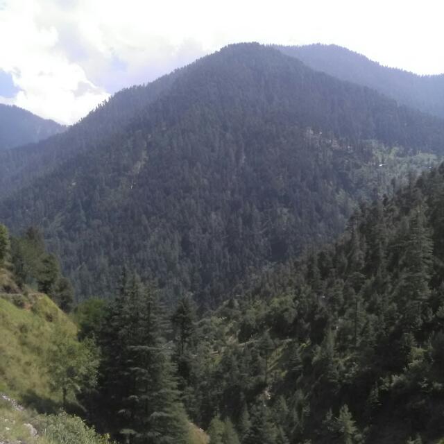?مغل کتاب گھر ?
