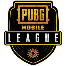 BGMI... tournament group?