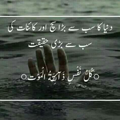 Shugul mela????