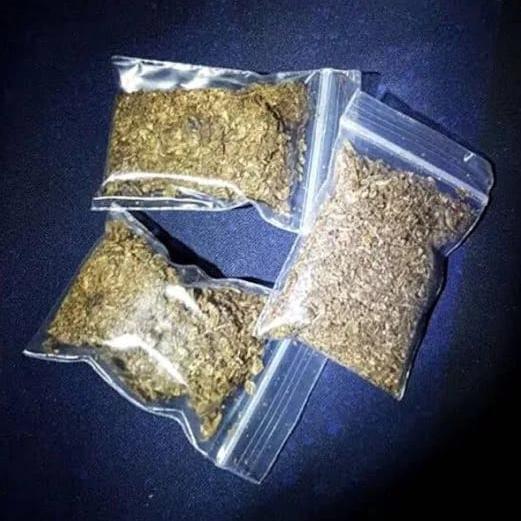 Chennai weed smokers???