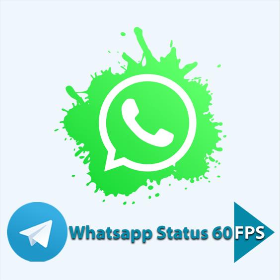 whatsapp status 60fps