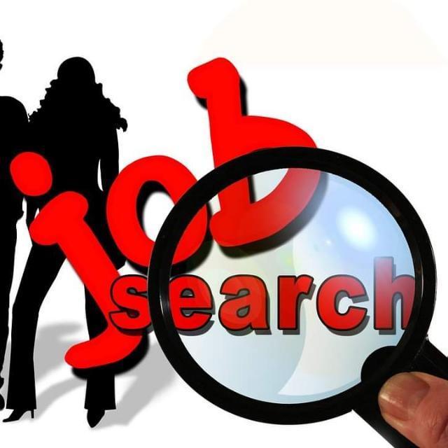 Job Search 19