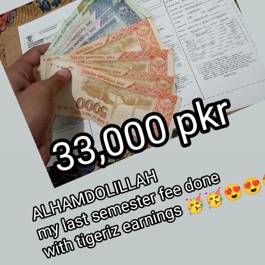 Tigeriz Earning?