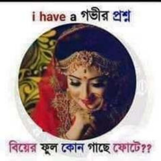 ?Raipur king?
