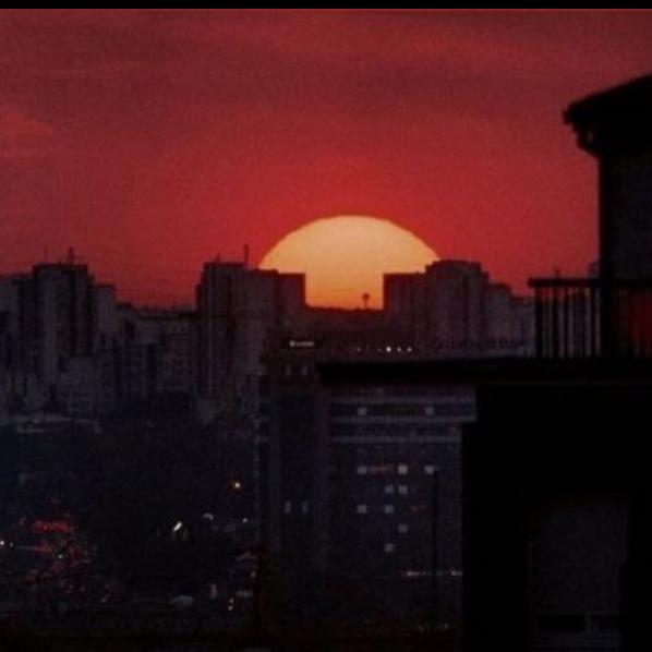 ?Лютики✨?