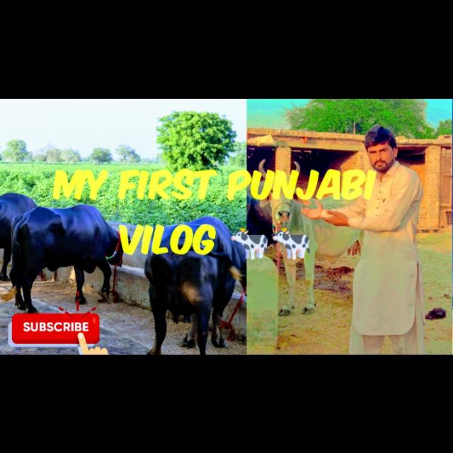 Pind di life ❤️