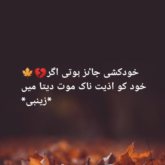 اردو شاعری ?
