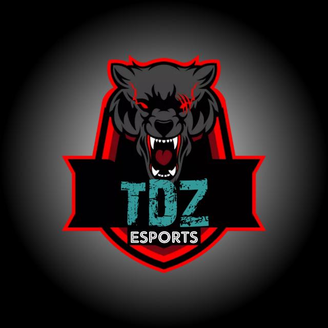 TDZ ESPORTS YT?