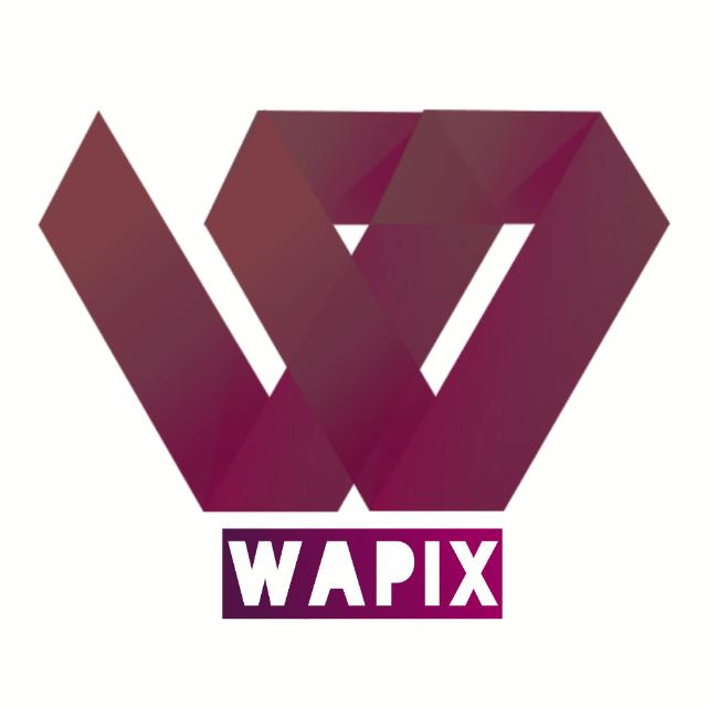Wapix Store