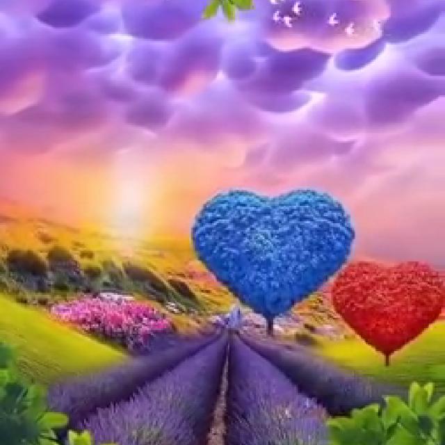 ❤️??INDIA CRICKET LOVETS???