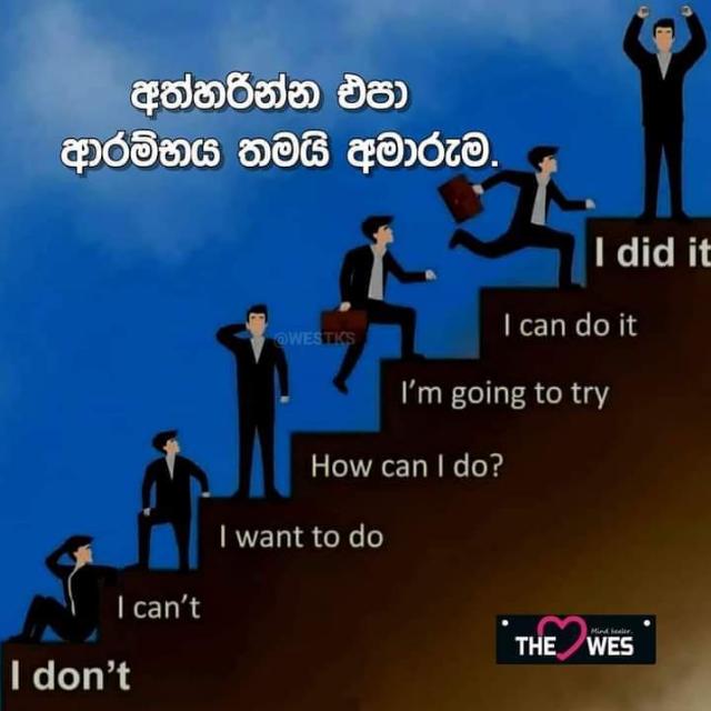 Network marketing
