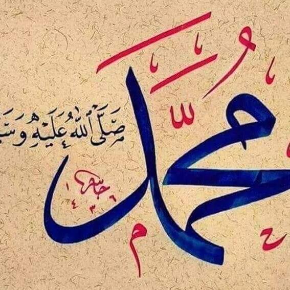 Only islami Post Whatsapp group