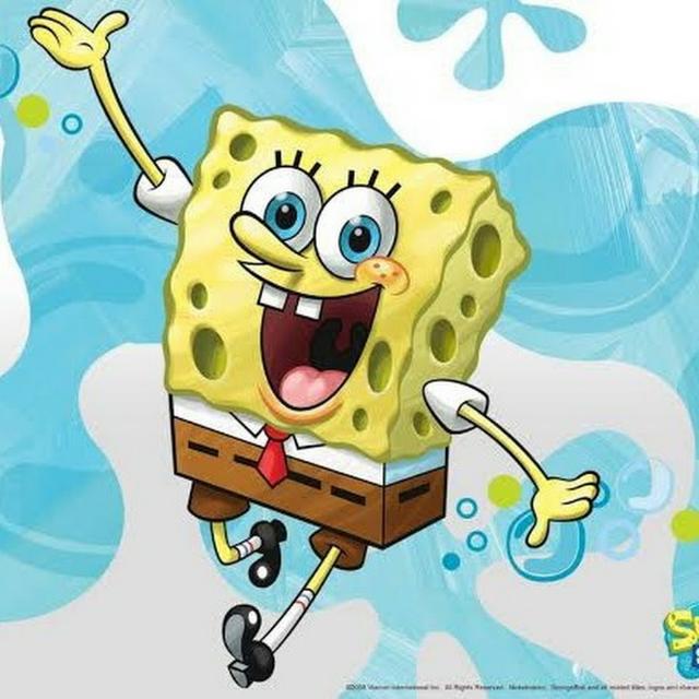 Spongebob lovers