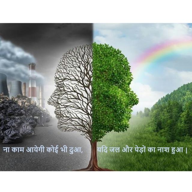 हमारा पर्यावरण ! ?⛰️