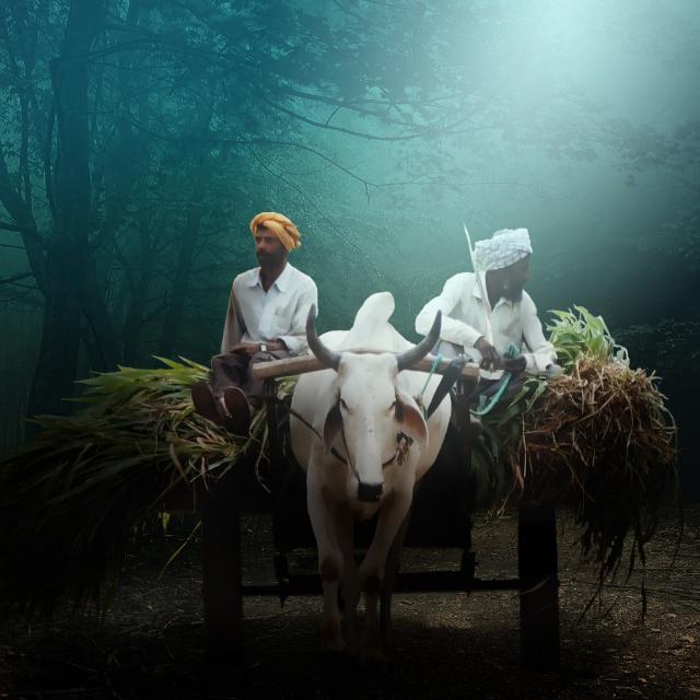 ?ગુજરાતી ?ઓના ?ભડાકા?