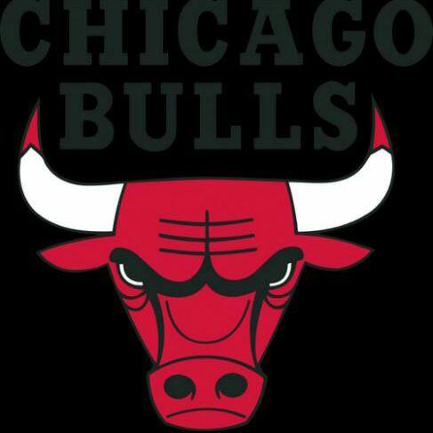 ?‍♂Bengaluru bulls?‍♂??‍♂