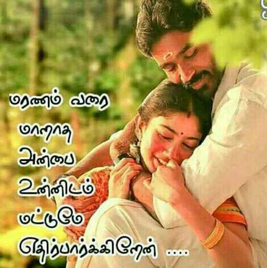 Mony grils 