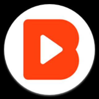 Video Buddy