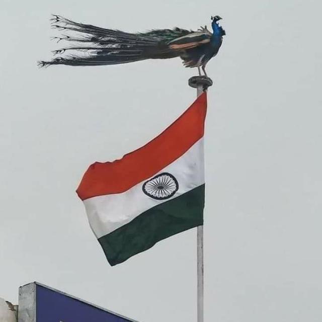 ???????? भारतीय ????