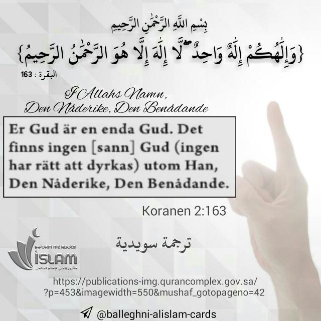 Islam på svenska åt dig