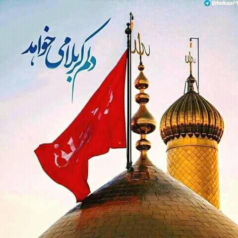?Labbayik ya Hussain(as)?